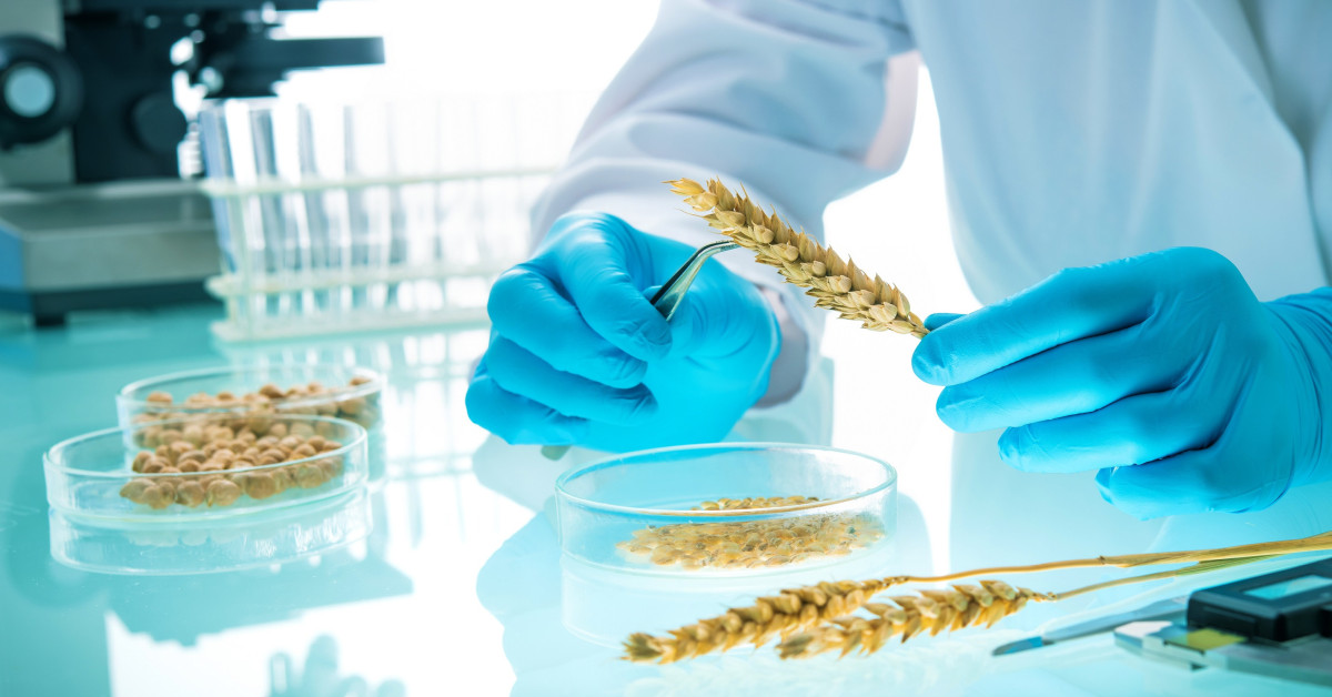 gmo-analysis